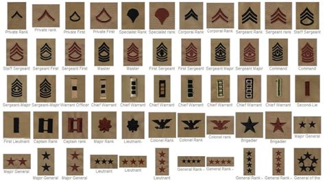 Understanding The Us Army Ranks Enlisted Info