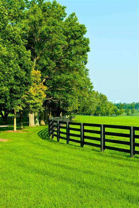 Green Pastures Of Horse Farms Country Scenery Stock Image Colourbox