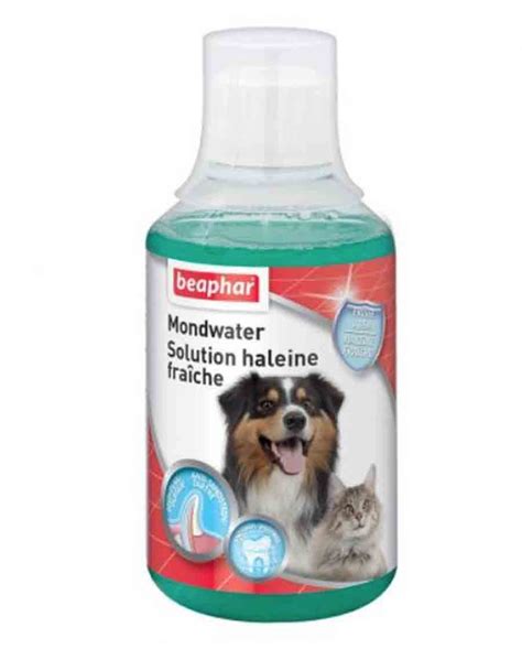 Beaphar Buccafresh Solution Haleine Fraîche Pour Chien Et Chat 250 M