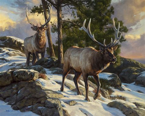 Bull Elk Oil Painting Animal Art Wildlife Art Impressionism Oil