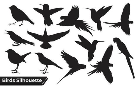 Bird Vector Art Icons And Graphics For Free Download