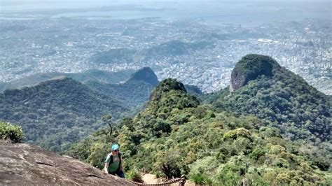 Tijuca National Park Hike To The Peak Getyourguide