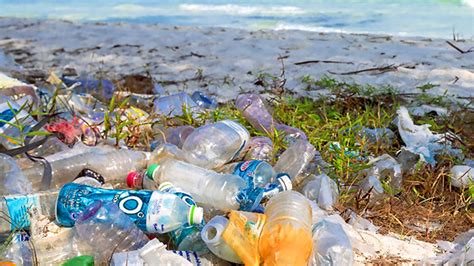 Las Multinacionales Se Unen Contra Los Residuos Plásticos Empresas