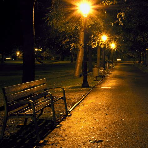 Night Park Bench 1970826 Hd Wallpaper And Backgrounds Download