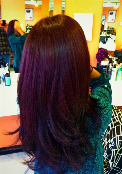 20 Plum Hair Color For Dark Hair Fashionblog