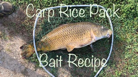 How To Make Rice Pack Bait Carp Bait Recipe YouTube