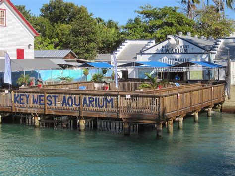 TOP 10 Things to Do In Key West | Key west vacations, Key west, Key west aquarium