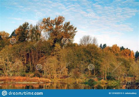 Autumn Morning With Fall Colors And Blue Skies Stock Image Image Of