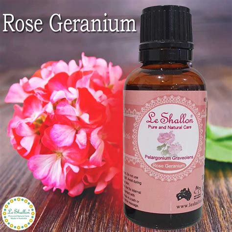Rose Geranium Essential Oil Le Shallon Pure And Natural Care