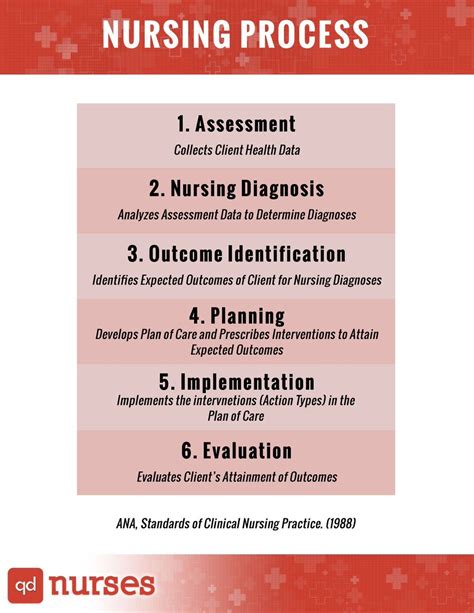 The Fundamentals Of The Nursing Process Qd Nurses Nursing Process