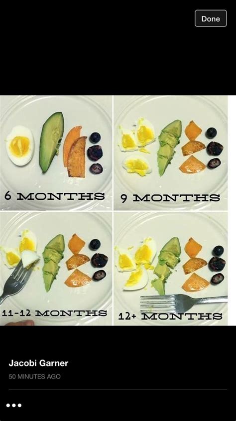 Baby Led Weaning First Foods All You Need Infos
