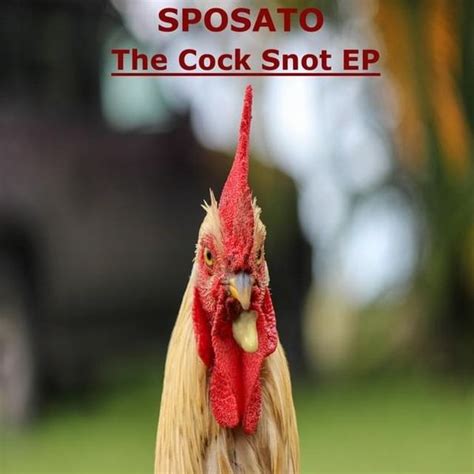 sposato the cock snot ep lyrics and tracklist genius