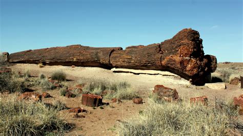 Petrified Forest National Park Revisit Tales From A Van Tramp Couple