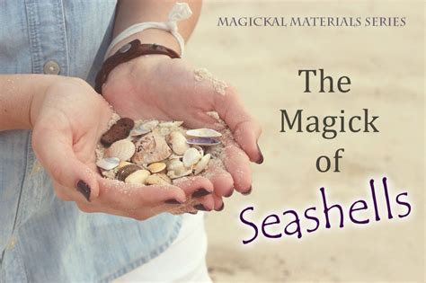 The Magick Of Seashells Michelle Gruben