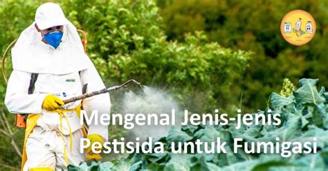 Mengenal Jenis Jenis Pestisida Untuk Fumigasi PT Panca Prima Wijaya