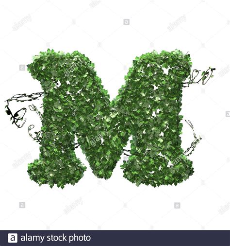 Letter M Created Of Green Ivy Leaves Isolated On A White Background