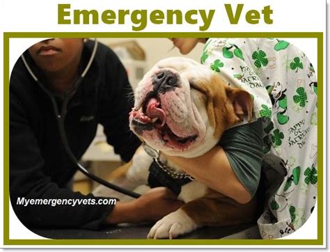 Our emergency vet care clinic is staffed by highly experienced members of our veterinary team. Top 10 Emergency Veterinarians, Cost and Clinics ...