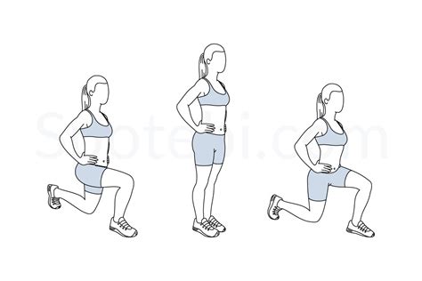 Some pages have ab exercises grouped by click on the page links to view the exercises under that topic, or click on the name of the core or stomach exercises to view more information. Front And Back Lunges | Illustrated Exercise Guide