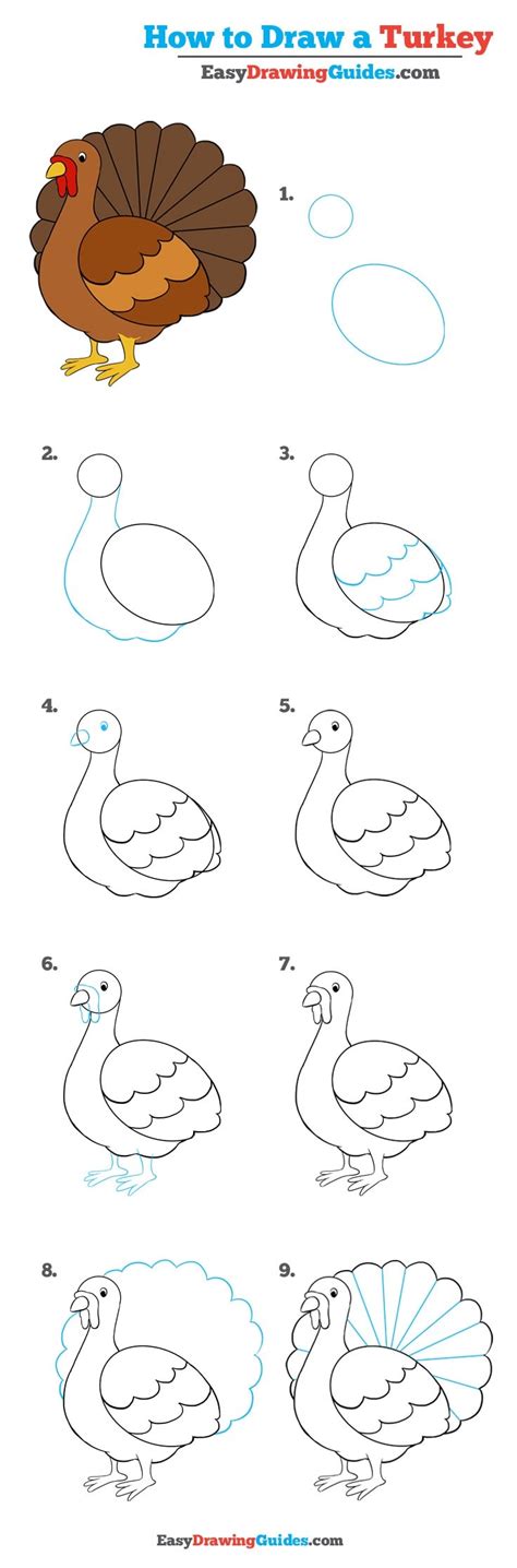 Free for commercial use no attribution required high quality images. How to Draw a Turkey - Really Easy Drawing Tutorial