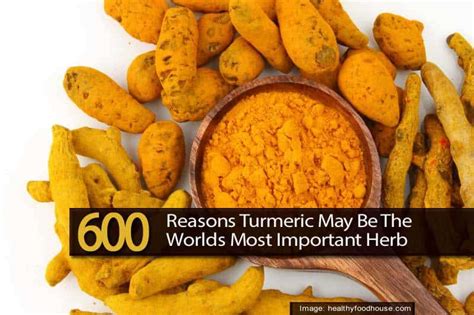 600 Reasons Turmeric May Be The Worlds Most Important Herb