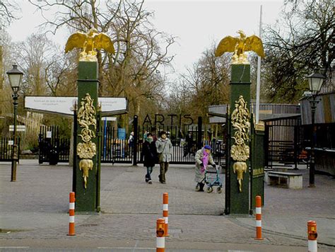 El Zoo Artis Una Notable Excursión En Amsterdam Viajar Por Europa