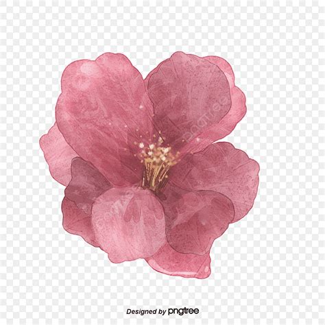 Pink Painted Flower PNG Image Pink Painted Flowers Flowers Plant