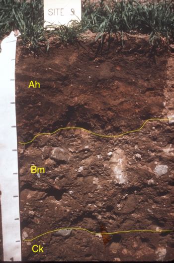 Soil Classification And Distribution Digging Into Canadian Soils
