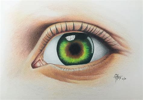 What you'll need is simply any kind of pencil, or if you i find drawing an oval first makes it easier to get the shape of the eye that you want. EYE DRAWING IN COLOR PENCILS on Behance