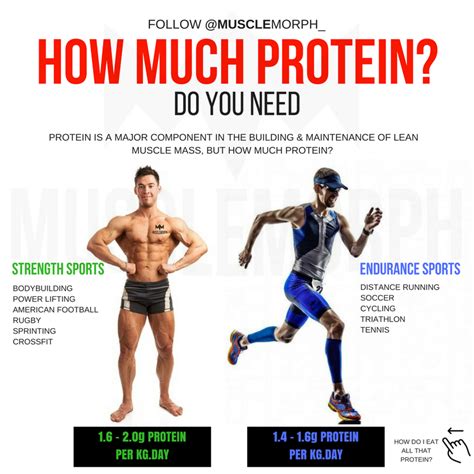 How Much Protein Do You Need Bodybuilding At Home Natural