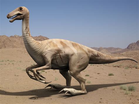 37 Heterodontosaurids Were Probably Omnivorous Despite Being