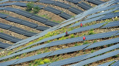 Iea Warns On Chinas Dominance Of Solar Panel Supply Chain