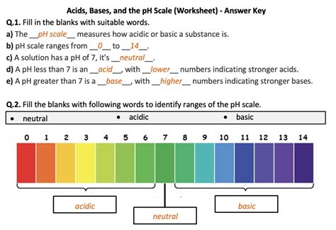 Acids Bases And The Ph Scale Worksheet Printable And Distance