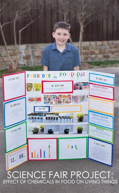 Science Fair Project The Effect Of Food Dye On Living Things Kids
