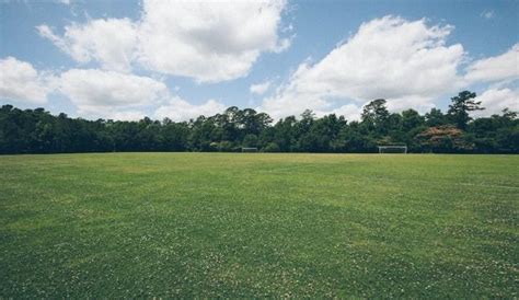 I tried to capture everything in the park. Chechuria Eco Park | WhatsHot Kolkata