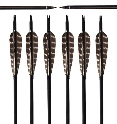 Archery Sharly 31inch Carbon Targeting Practice Arrows Turkey Feather