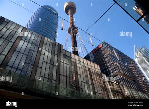 Sydney Tower Pitt Street Central Business District Sydney New South