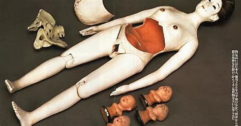 pregnancy doll imgur
