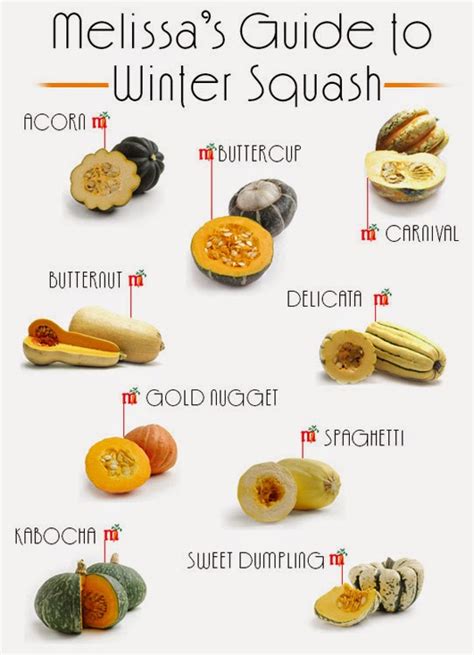 Winter Squash Visual Guide Recipes Real Food Mostly Plants