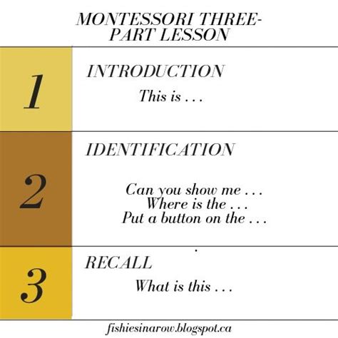 How To Use The Montessori Three Part Lesson To Teach Anything Fishies