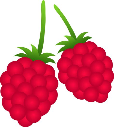 Free Berry Outline Cliparts Download Free Berry Outline Cliparts Png