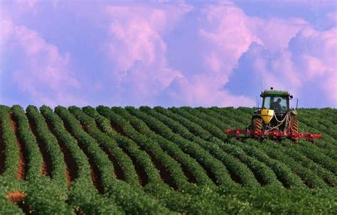 Lindustrie Agricole Demande Aux Québécois Daller Travailler Dans Des