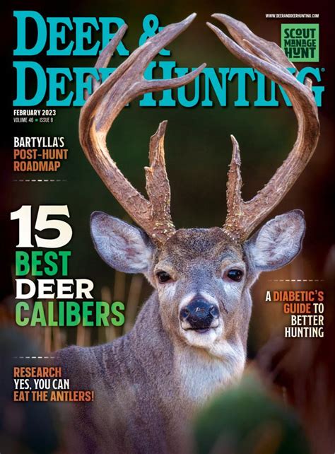 Deer And Deer Hunting Magazine Renewal Magazine
