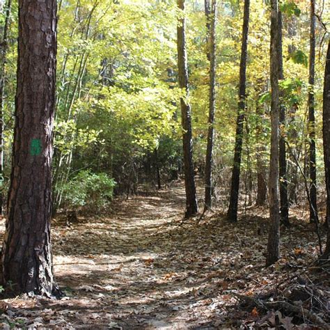 Harbison Neighborhood Trails Columbia 2022 What To Know Before You