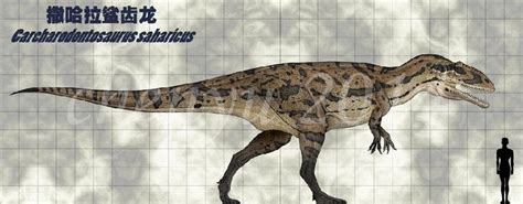 Carcharodontosaurus In 2023 Prehistoric Animals Prehistoric Wildlife