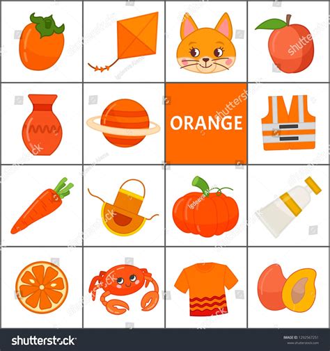 Learn The Primary Colors Orange Different Objects In Orange Color