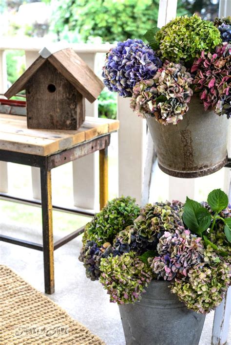 Curing buckets are plastic buckets, typically 5 gallons in size, that are modified with an intake and exhaust tube. Forever beautiful buckets of hydrangeas on a ladder ...