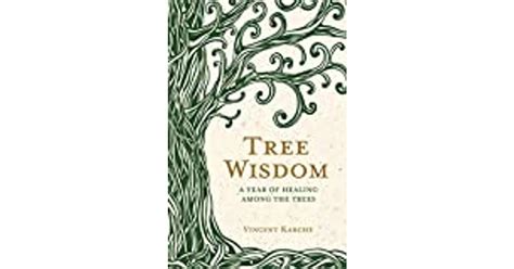 Tree Wisdom A Year Of Healing Among The Trees Bog Paperback