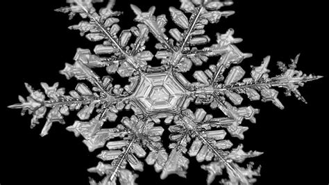 A 12 Sided Snowflake Colorado Photographer Captures Unusual Snowflake