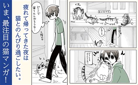 Amazon co jp 夜は猫といっしょ 1 キュルZ 本