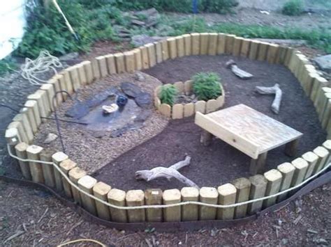 Outdoor Baby Tortoise Pen Ideas Oh My The Possibilities Of Those Wood